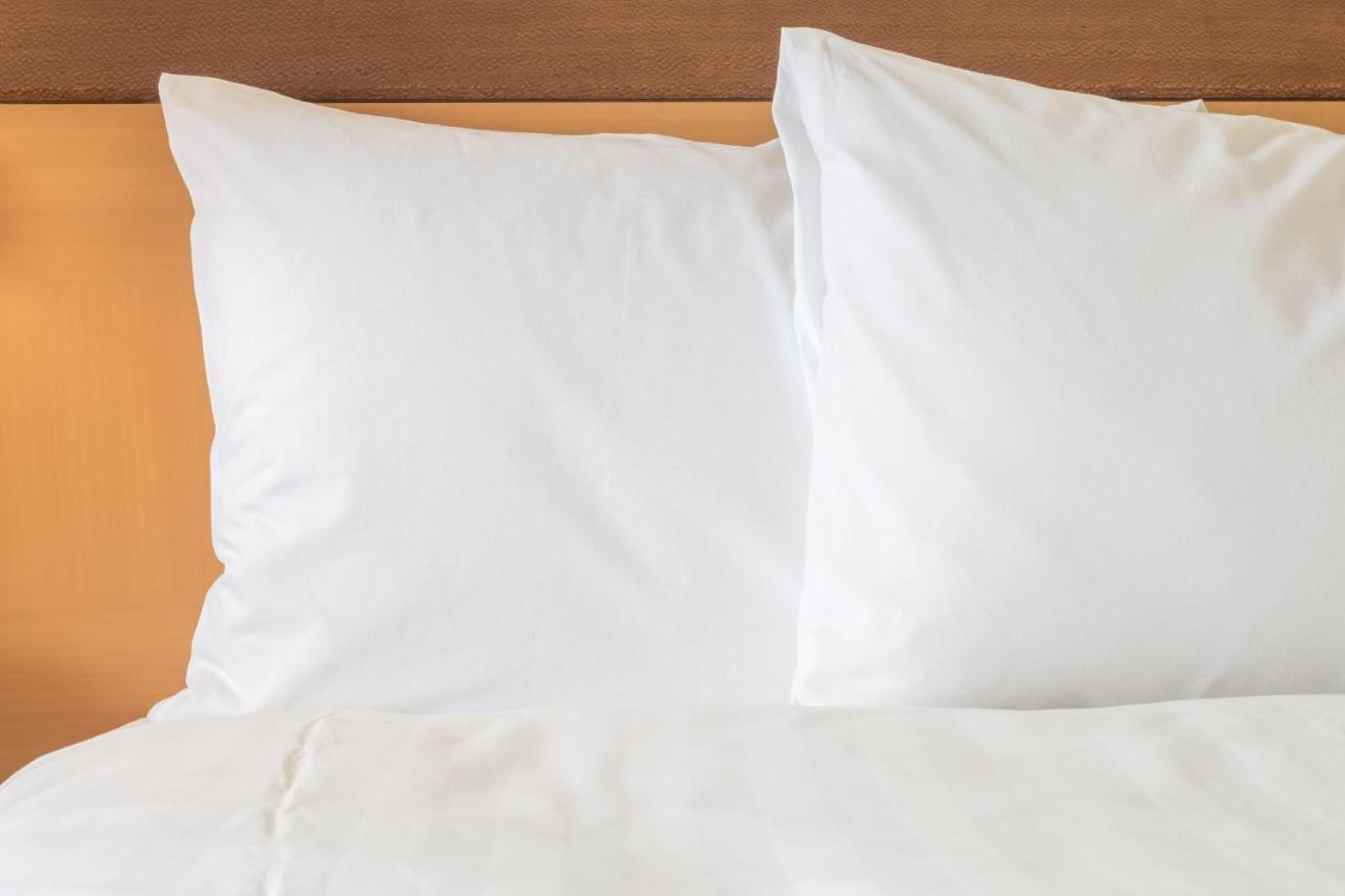 Ana Holiday Inn Sapporo Susukino By Ihg Екстер'єр фото